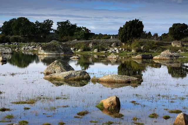 23. září 2013 10:19:36