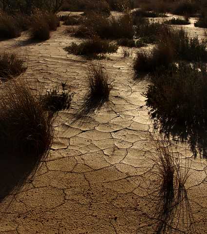 15. července 2015 22:24:04