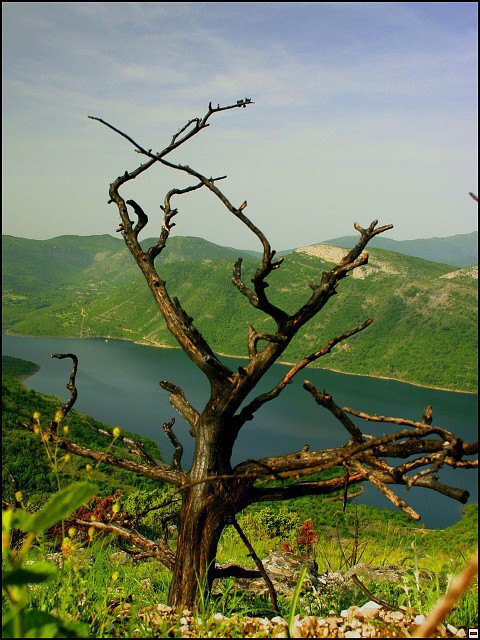 img00028.jpg