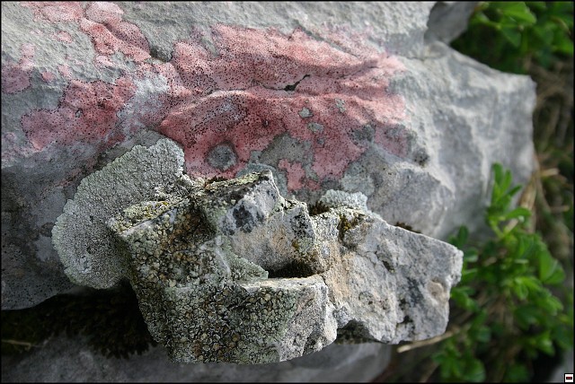 img00049.jpg