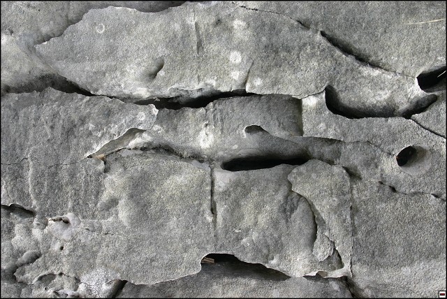 img00050.jpg