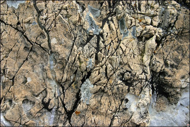 img00052.jpg