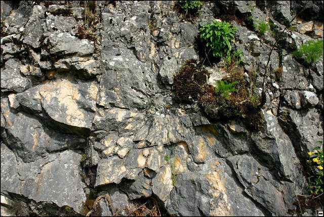 img00053.jpg