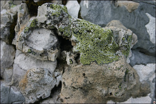 img00055.jpg