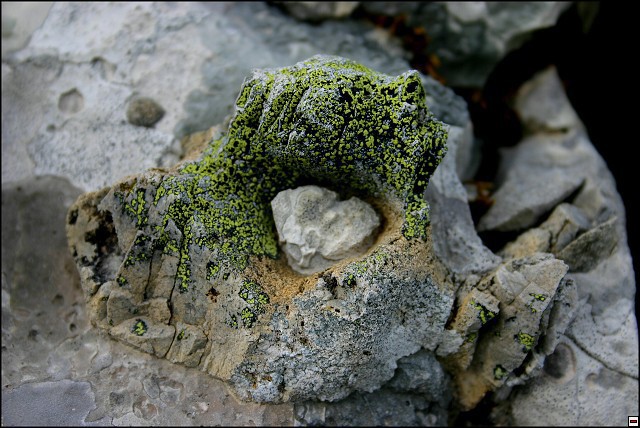 img00056.jpg