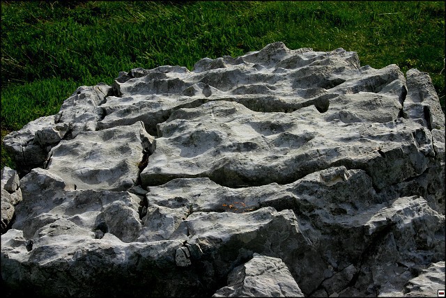 img00057.jpg