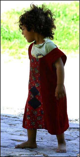 img00064.jpg
