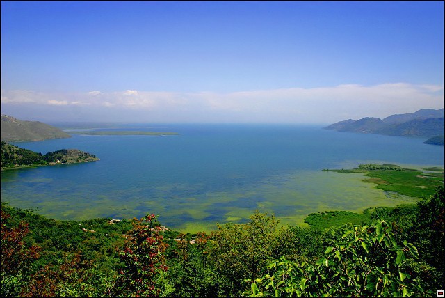 img00072.jpg