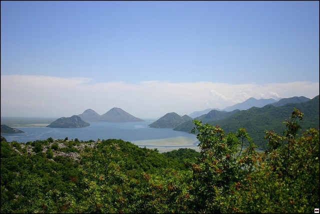 img00073.jpg