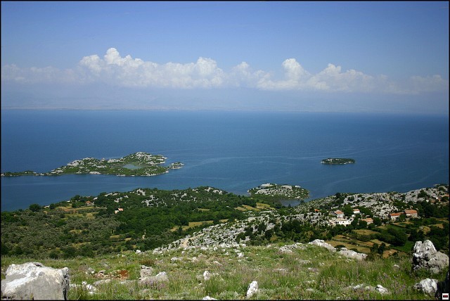 img00074.jpg