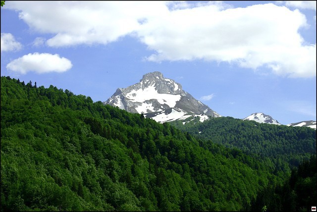 img00082.jpg