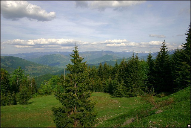 img00083.jpg