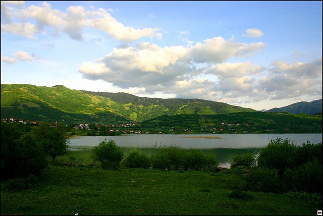 img00084.jpg