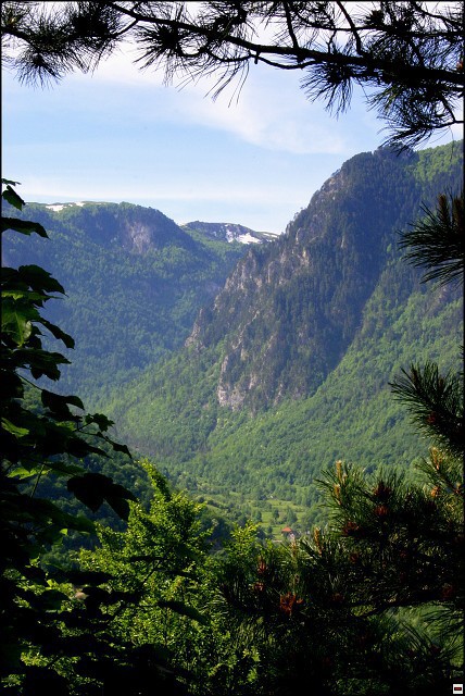img00089.jpg