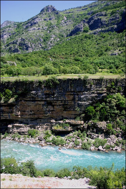 img00090.jpg