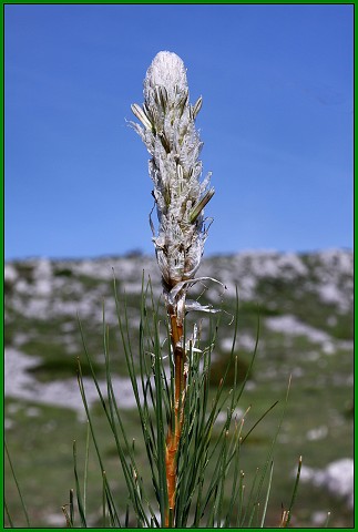 18. června 2010 17:32:03