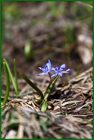 18. června 2010 17:32:04