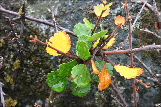 img00025.jpg