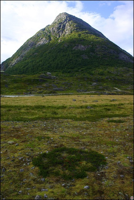 img00050.jpg