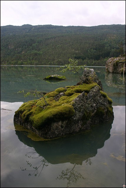 img00072.jpg