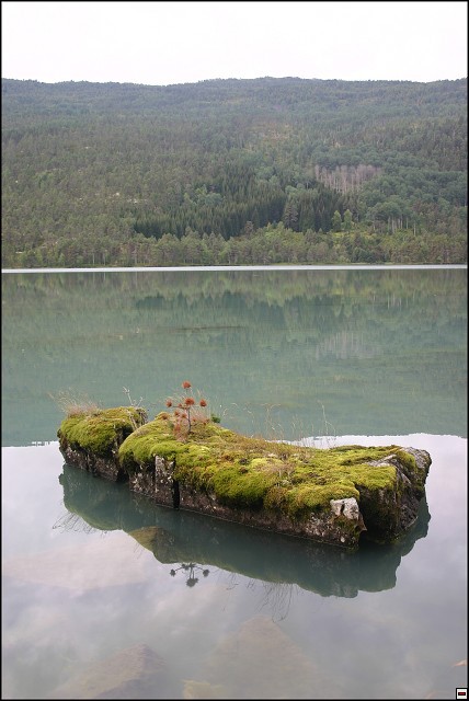 img00073.jpg