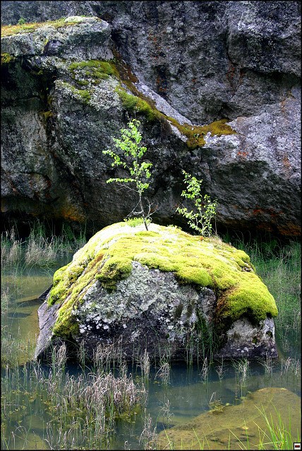 img00074.jpg