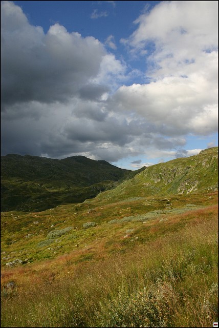 img00076.jpg