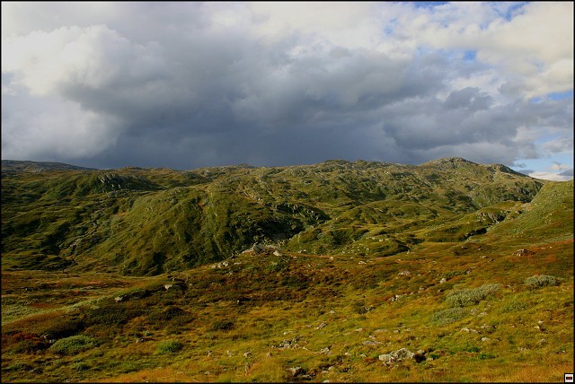 img00077.jpg