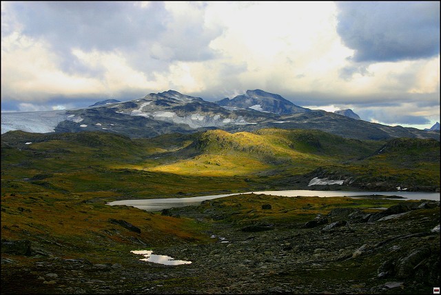 img00079.jpg