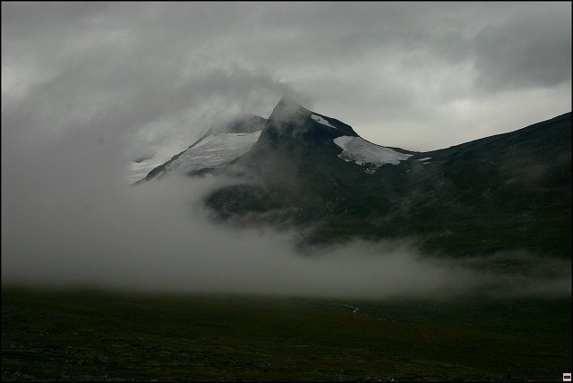img00081.jpg