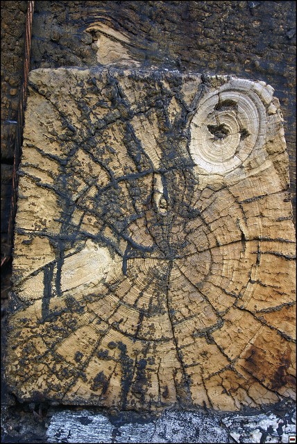 img00093.jpg