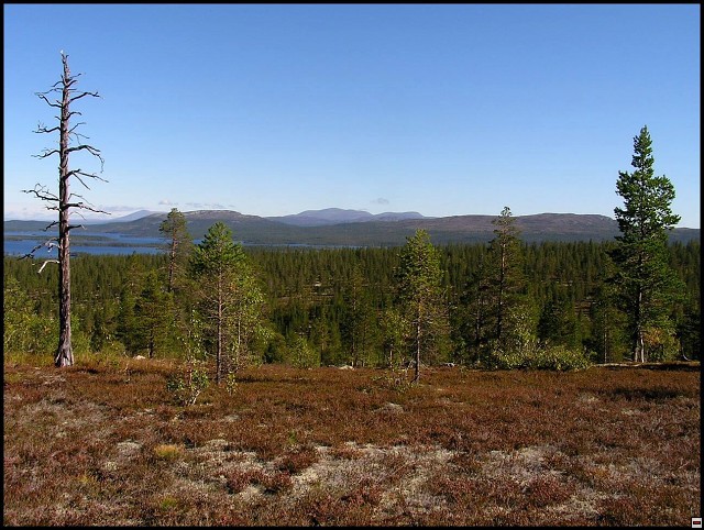 img00122.jpg