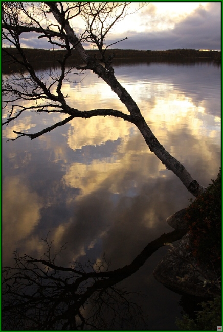 img00064.jpg