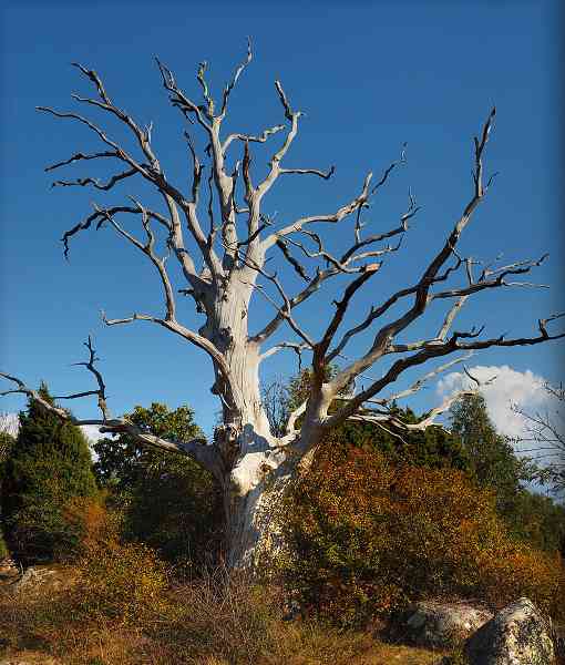 neděle 10. března 2019 21:24:01