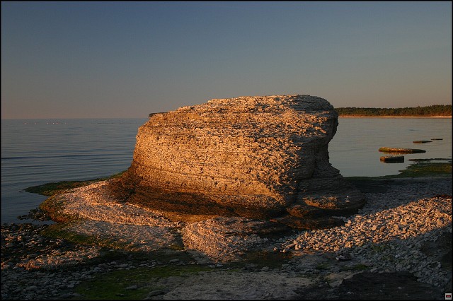 img00028.jpg