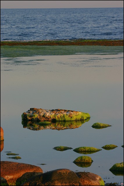 img00031.jpg