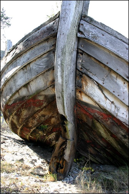 img00035.jpg