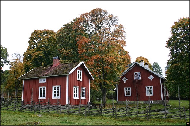 img00050.jpg