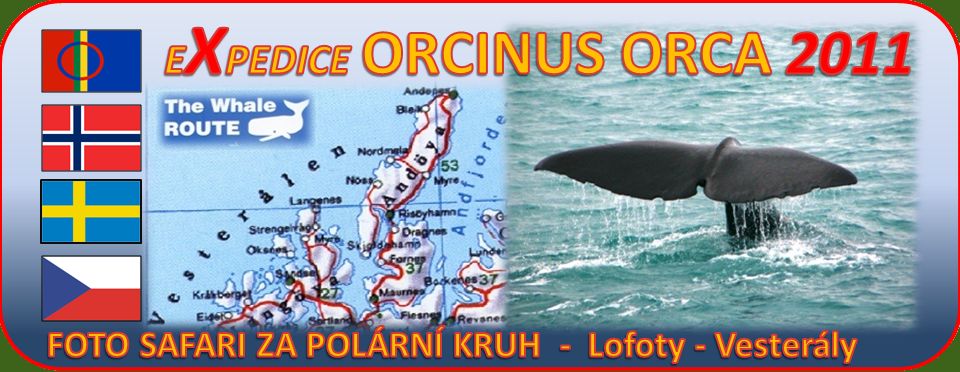 Orca 2011